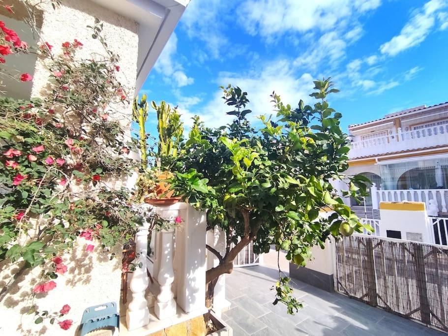 Rincon Mediterraneo Gran Alacant Exteriör bild